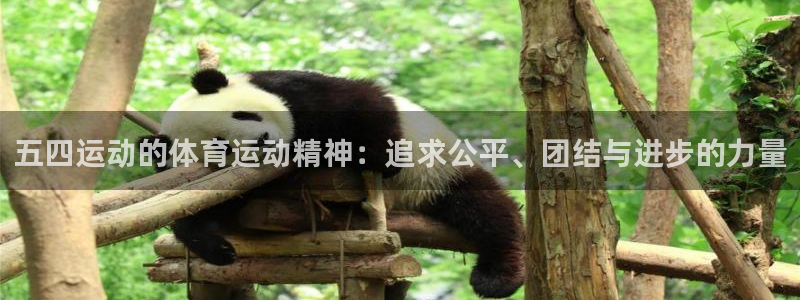 三亿体育