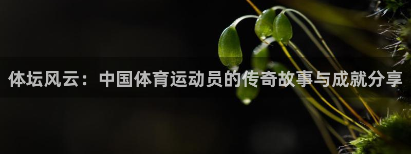 三亿体育