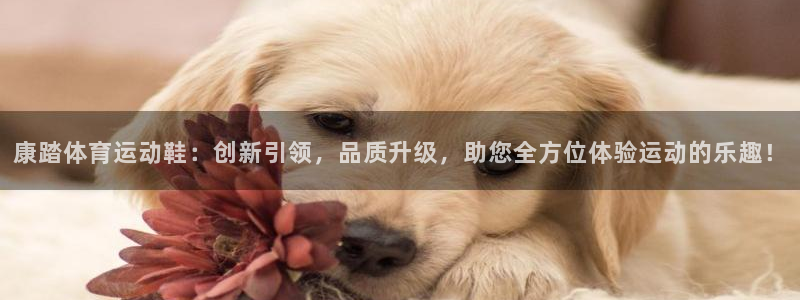 三亿体育网