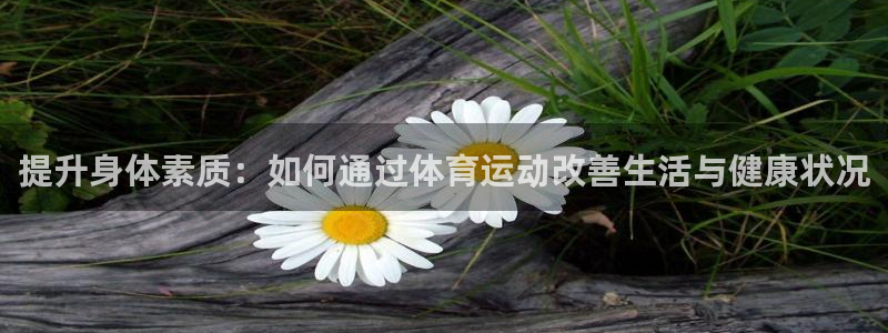 三亿体育