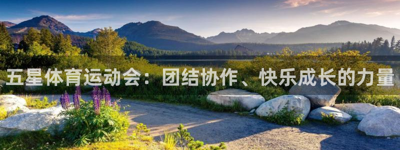 三亿体育网