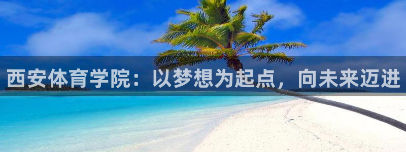 三亿体育网页版