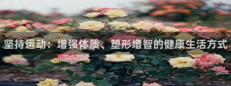 三亿体育网页版