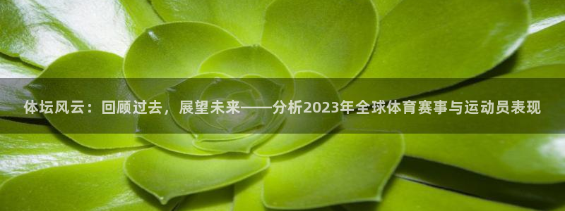 三亿体育网